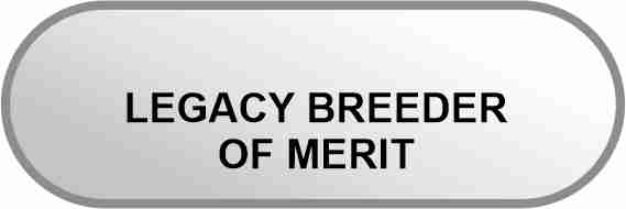 AKC PRESERVATIONIST LEGACY OF MERIT BREEDER